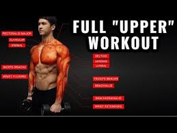 upper body workout for growth