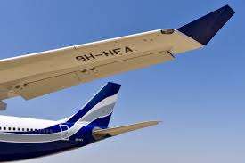 Image result for Azul Sky 1985 Fleet