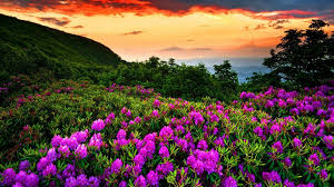 Free hd wallpaper, images & pictures of spring scenery, download photos of for your desktop. Beautiful Nature Spring Wallpapers Wallpaper Cave