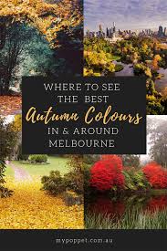 Where To See The Best Autumn Colours In Melbourne My Poppet Living Autumn In Australia Fall Colors Melbourne
