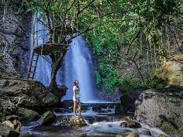 Intip Yuk Rekomendasi Air Terjun Di Malang Amazing Malang