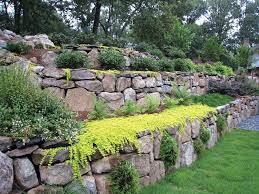 Natural Stone With Plants In The Joints A Great Diy Idea That Will Boost Your Ga In 2020 Sloped Backyard Landscaping Landscaping Retaining Walls Terraced Landscaping