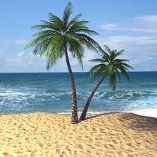 Tropical Palm Tree 3d Model Palm Tree Pictures Palm Trees Painting Palm Tree Island 21,000+ vectors, stock photos & psd files. tropical palm tree 3d model palm tree