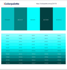 This color invigorates and enlivens. Robin S Egg Blue Teal Cyan Aqua Cyprus Bright Turquoise Color Scheme Icolorpalette