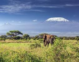 Welche orte clara auf ihrer rundreise durch tansania und sansibar besucht hat und was sie dabei erlebt hat, lest ihr nun im tansania und sansibar reisebericht. Urlaub In Tansania Von Serengeti Bis Sansibar Tansania Sansibar Tansania Kilimandscharo