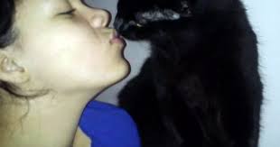 Devastated mum buries her dead cat