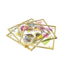 Botanists from both the greek and roman periods were known to preserve plants using techniques that continue today. Pressed Flowers Glass Coasters