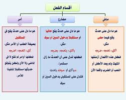 النحو وقواعده جامع شامل من اولى ابتدائي حتى الثالث الثانوى 110 بطاقة فى كتاب pdf ميسر للمبتدئين arabic language learn arabic language learning arabic