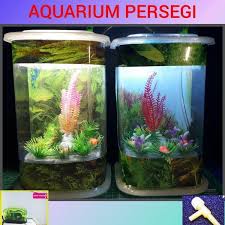 City aquaworld jual aquarium dan aksesoris di surabaya, kami memberikan design terbaru dan tentunya kalitas bagus. Jual Aquarium Led Kotak Cek Harga Di Pricearea Com