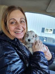 Hi all! I just wanted to introduce myself and share a photo that I took.  This is Shelly whom I love so much. We live in Haverhill in the UK. Shelly  is