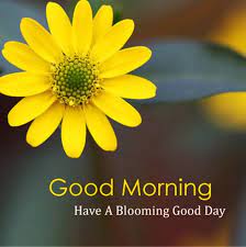 And hope can come in many different shapes and forms. 35 Good Morning Quotes And Images Positive Words For Good Morning 2 Good Morning Greetings Latest Good Morning Images Good Morning Flowers