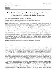 Image result for Phragmanthera capitata