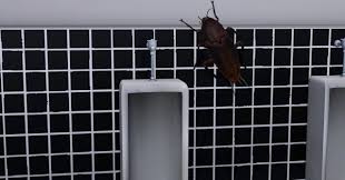 mmd bug story part 1 (DrEzal): Cumshot, Big Dick \u0026 Onlyfans Porn - SpankBang