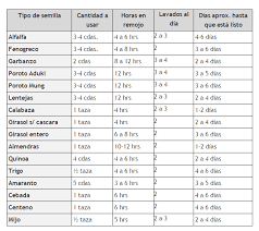 Pin En Hidroponia