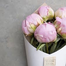Bloom Social Bloomsocialnz Instagram Photos And Videos Bloom Instagram Instagram Posts