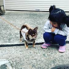Instagram 髪型も一緒 圖片視頻下載 Twgram