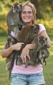 He loves going out and meeting people. Monkey Mad Mother Who Takes Her Beloved Macaques Everywhere She Goes Daily Mail Online