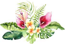 In order to use this file you must credit the author with the a link back to this page. Download 4 Hand Drawn Watercolor Tropical Flower Png Image With No Background Pngkey Com