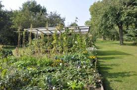 Arbeitspferd rocky in finkens garten. Garten Wettbewerb Eroffnet Aktionen Und Veranstaltungen Im Projekt Garten Fur Die Artenvielfalt Metropolnews Info