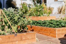 Using an edger or spade, mark the ground around the perimeter of the frame. 10 Free Raised Planter Box Plans For Your Yard Or Porch