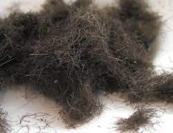 Put on safety glasses to shield your eyes when you're operating on the dye studio. How Can I Reuse Or Recycle Hair Clippings How Can I Recycle This