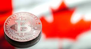 The platform was launched in 2013, under the name instabt, and was used for buying bitcoin only. Best Crypto Trading Apps And Exchanges In Canada Jean Galea