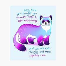 Every Time You Thought You Wouldn T Make It You Were Wrong Black Footed Ferret Photographic P Cute Animal Quotes Inspirational Animal Quotes Animal Quotes