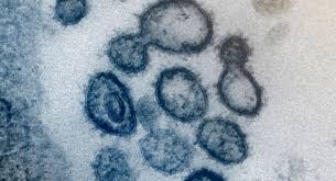 5 Fakta Terbaru Seputar Mutasi Virus Corona D614g Di Indonesia
