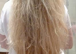 And i've said no to people who want to go blonde but whose hair has been too damaged. How To Care For Bleach Damaged Hair