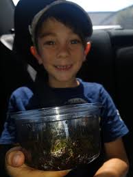 i need some help naming this handsome boy i thought about naming him philip