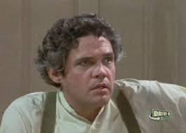 Apocalypse Later Film Reviews: The Capture of Grizzly Adams (1982)