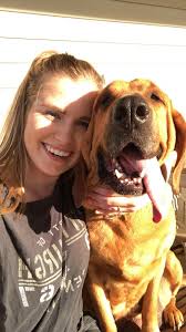 Lost bloodhound in Mantachie, Mississippi, named Daisy Duke