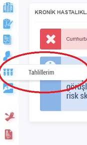 Peki, korona virüs aşı sorgulama nasıl yapılır, kimler aşıda öncelikli? E Nabiz