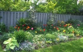 Pin On Gardening