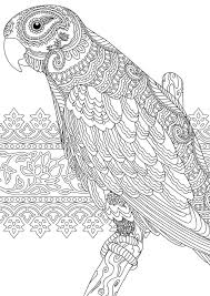 Nevertheless, here's a growing collection of coloring pages free for your kiddos to print and color. Coloring Pages Parrot Print For Free For Children 100 Images