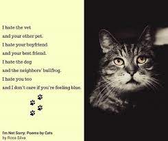 25 Inspirational Advice Given By The Pets In Your Life Cat Poems Funny Poems Cats