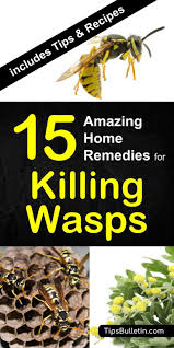 How To Keep Yellow Jackets Away From Your Home 15 Home Remedies For Killing Wasps