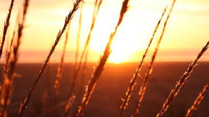 Limit my search to r/sunset. 6 000 Best Sunset Videos 100 Free Download Pexels Stock Videos
