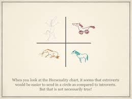 The Hidden Secret Of The Circling Game Not Every Horse Wants