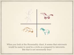The Hidden Secret Of The Circling Game Not Every Horse Wants