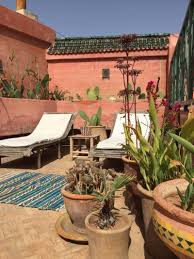 Check spelling or type a new query. 200 Arizona Backyard Ideas In 2021 Backyard Arizona Backyard Outdoor Bathrooms