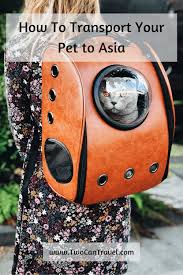 When traveling with pets, you should also have one ready for the special needs of your pet. A How To On International Animal Transport In Asia Two Can Travel