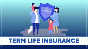 What is Term Life Insurance?