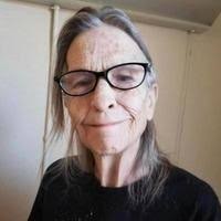 Janice Fay Woods Obituary (2024)