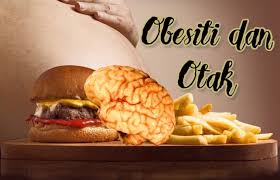 Gangguan pada metabolism badan dan perubahan hormon (insulin dan kortisol) yang menyebabkan individu lapar dan berkeinginan mencari makanan berkarbohodrat atau. 5 Kesan Obesiti Terhadap Otak Yang Anda Mesti Tahu Neuroversiti