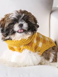 November 5, 2020 at 4:40 pm. These Free Crochet Patterns Will Give You The Best Dressed Dog In Town