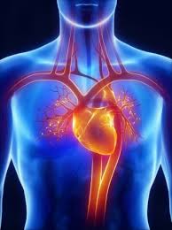 Imi puteti spune catre ce medic sa ma adresez? Cauzele Durerilor In Piept Happymed Tv