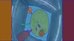 PowerPoint 演示文稿