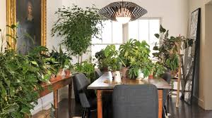 Bamboo in the dining room 4 /7 lucky bamboo is a striking houseplant that could not be easier to care for. Houseplant Tour Amanda S Living And Dining Rooms Youtube