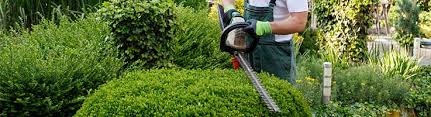 Cost of lawn mowing & maintenance. Best Lawn Care Services For 2021 Consumeraffairs
